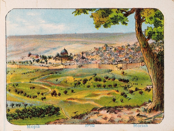 Цветы и виды Святой Земли. [Flowers and Views of the Holy Land]. Иерусалим, [1900-е гг.].