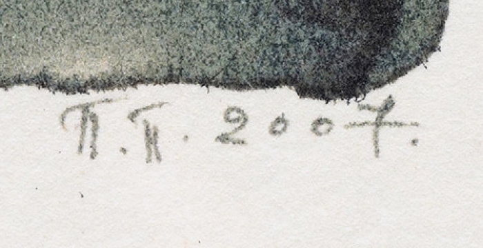 Пепперштейн Павел Викторович (род. 1966) «The Pingvin-man». Из проекта «Rembrandt». Пробный оттиск (в тираж не пошел). 2007. Бумага ручного литья, литография, 42x27,5 см (лист).