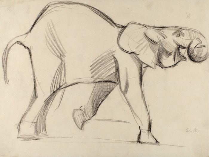 Ватагин Василий Алексеевич (1884–1969) «Довольный слон». 1926. Бумага, итальянский карандаш, 25,2x33,4 см.