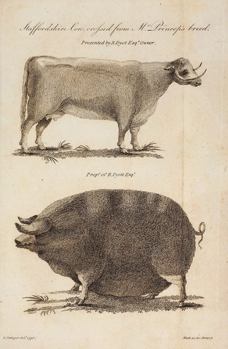 Конволют изданий о состоянии сельского хозяйства в английских графствах. 1796.