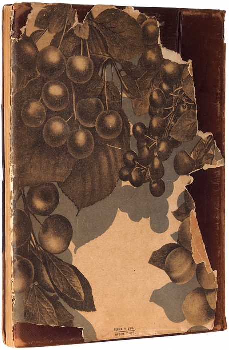 [Авторский экземпляр с автографом Б.А. Келлеру] Мичурин, И.В. Итоги полувековых работ по выведению новых сортов плодовых растений. В 2 т. Т. 2. М.; Л.: Сельхозгиз, 1932.