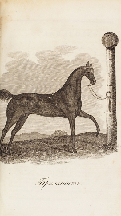 [Еженедельник и Записки для охотников для лошадей]. М.: В Тип. Августа Семена, 1823-1826.