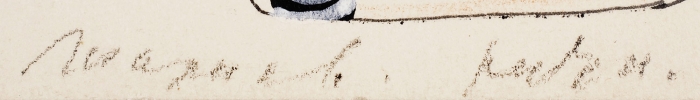 Кропивницкий Евгений Леонидович (1893–1979) «Натюрморт». 1970. Бумага, шариковая ручка, цветной карандаш, белила, 23,7x31,4 см.