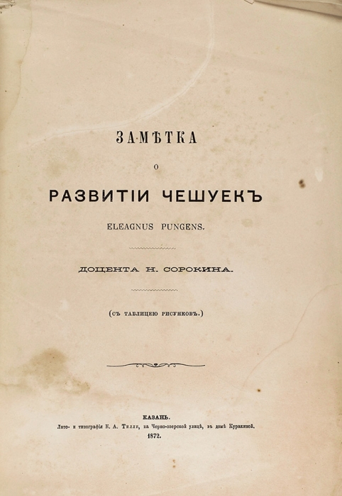 Две книги миколога Николая Васильевича Сорокина (1846-1909).